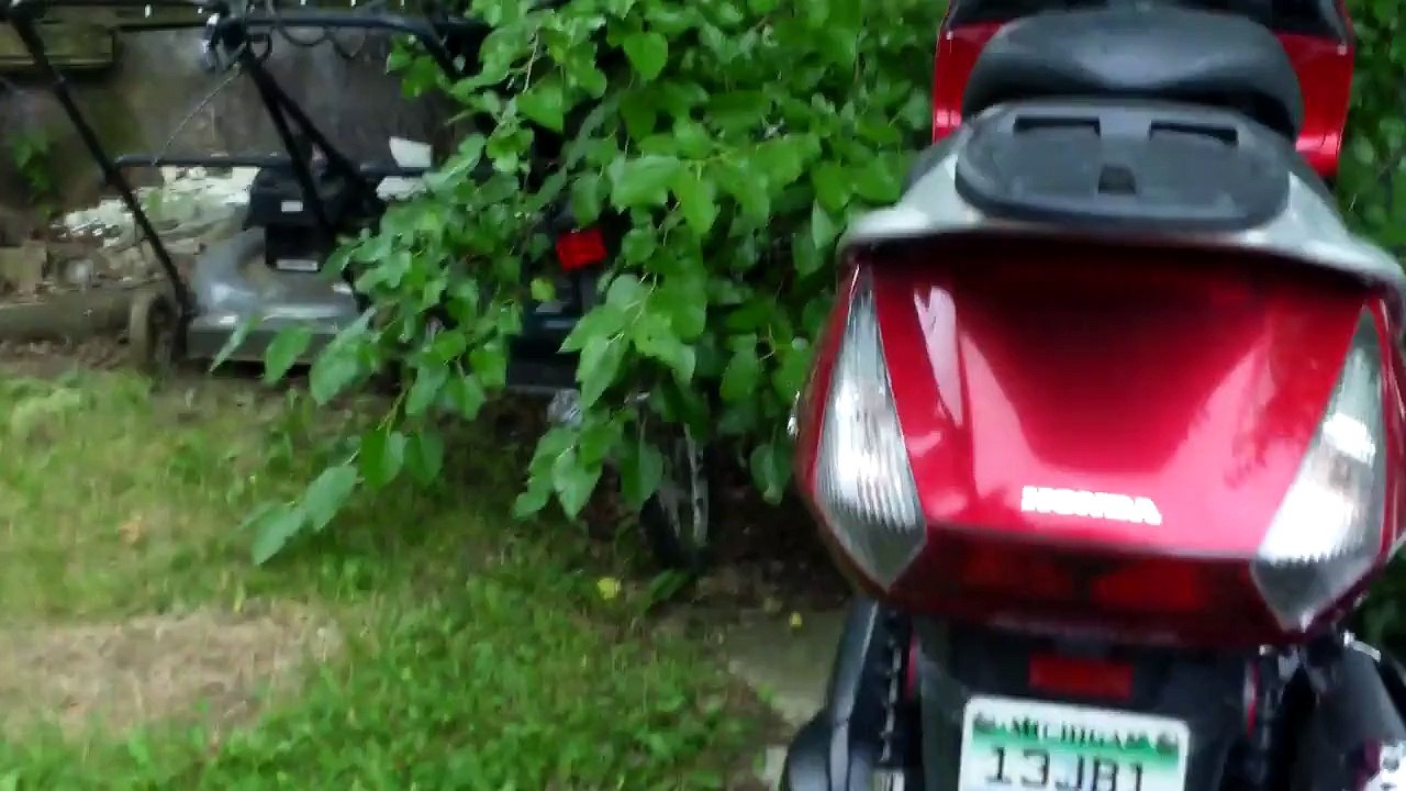 Silverwing Lost All Power