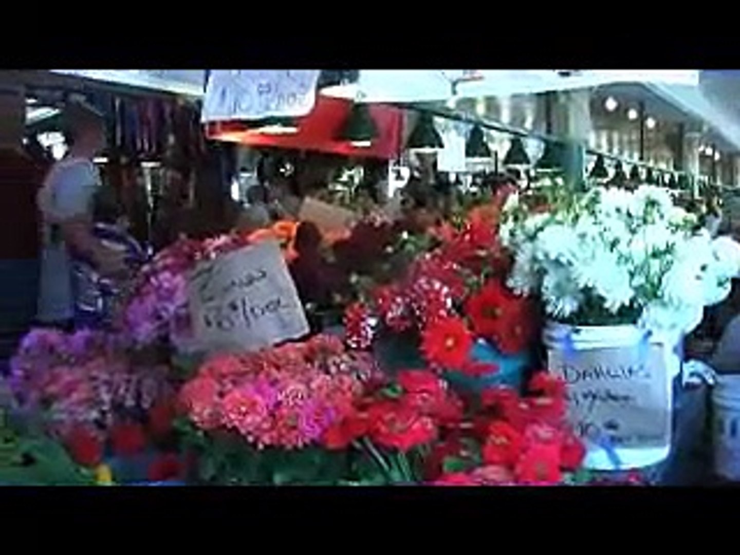 Seattle Travel Guide