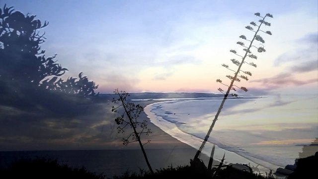 Itzhak Perlman - J. Massenet Thais Meditation