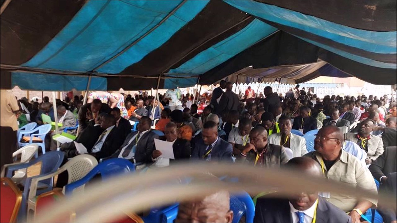 SÉMINAIRE EN LIGNE DE LA CDI SUR LA SITUATION POLITIQUE DU CONGO BRAZZAVILLE