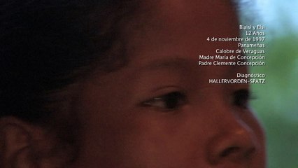 Sueños Colores y Esperanza El Documental.mov