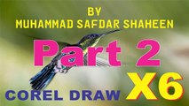 Corel Draw X6 Line Tool in Urdu Part 2