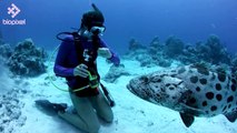 World Environment Day from Cod Hole Great Barrier Reef