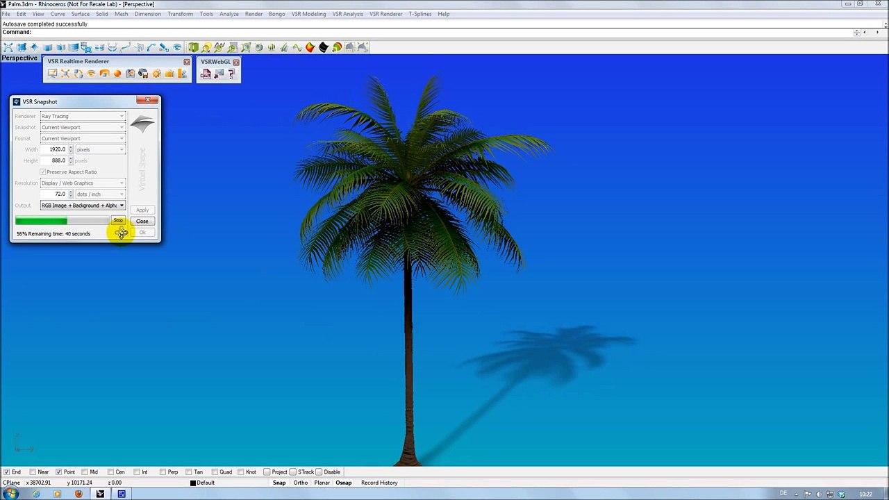 VSR Realtime Renderer 3.1