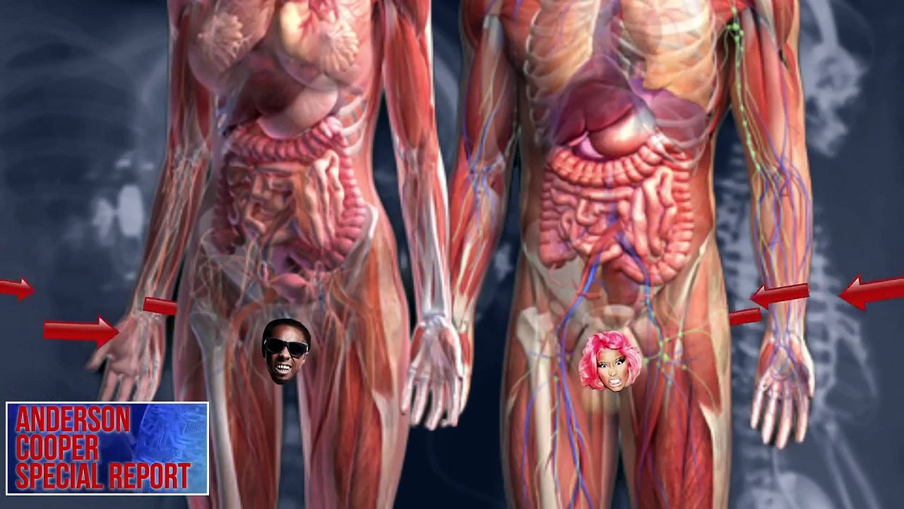 Nicki Minaj ft. Lil Wayne - "High School Herpes"