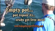 Bodega Bay Sport Fishing Dungeness Crab (11-08-2013) 4 of 5