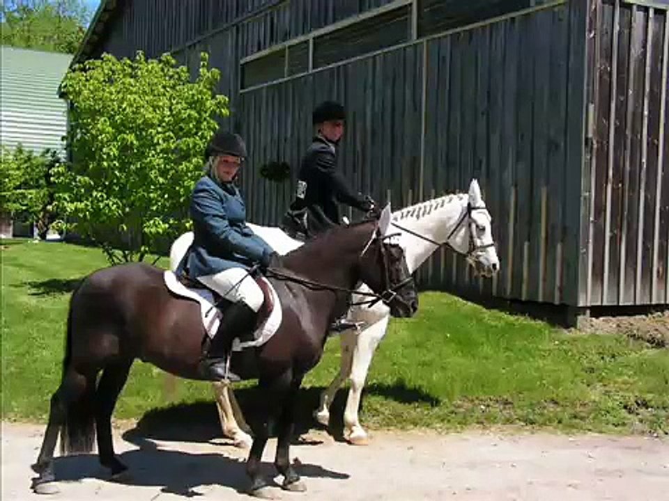 Equitation at River Run Farm, Brewster, NY 05/22/2008