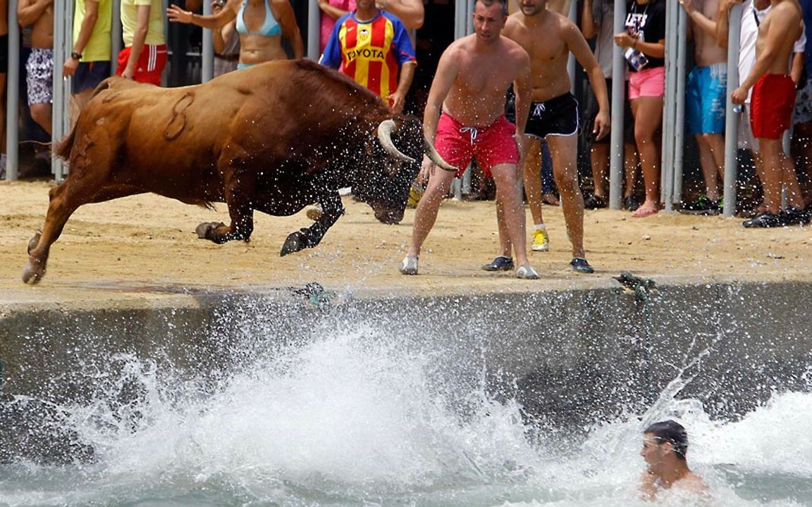 bull attacks completion