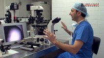 ICSI: Microinyección intracitoplasmática de espermatozoides