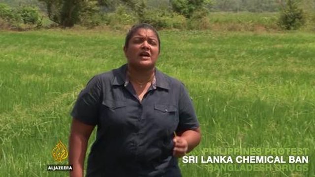On Al Jazeera: Sri Lanka's booming black market for farm chemicals