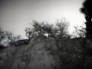 santo vs el hacha diabolica 5