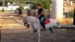J.M Marmol haciendo espectáculo ecuestre con su caballo 