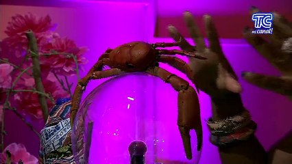 Los hijos de Don Juan - lunes 27 de julio