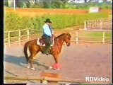 RDVideo - (video 5 di 8) 1991 Centro Ippico la Querce - Montemurlo (Prato)