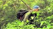 Russell Mittermeier of Conservation Internation discusses why rainforests are important