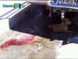 Justicia para CANELITA que no quede impune su Muerte!!!