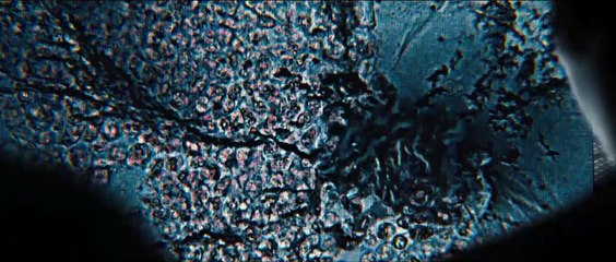 El corredor del laberinto: Las pruebas - Segundo Tráiler Español HD [1080p]