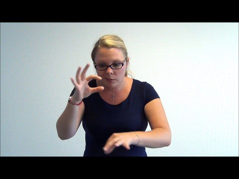 LSF-Visite guidée de l'exposition Dans les pas de Néandertal adaptée au public malentendant, sam 5 déc 2015.