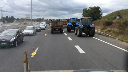 Manifestation des agriculteurs sur l'A81