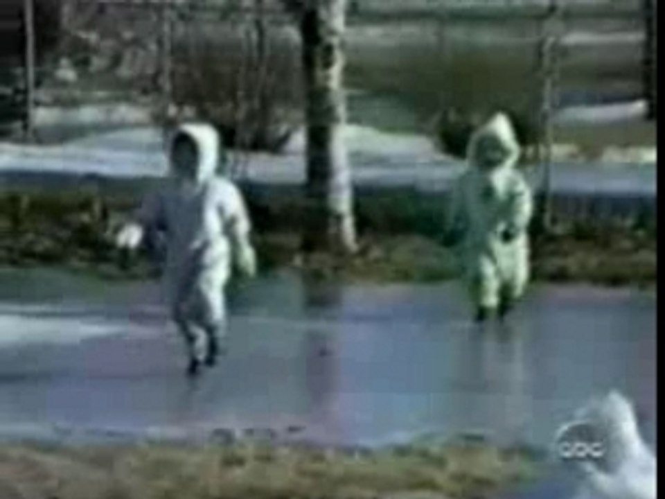 The Crash Compilation