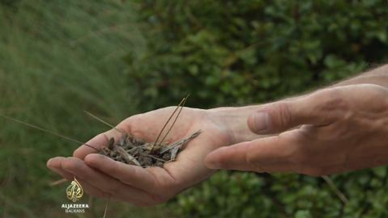 Borba protiv superbakterija