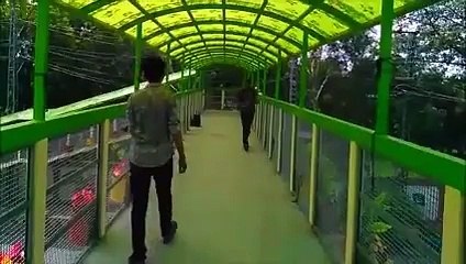 Expectations Vs Reality