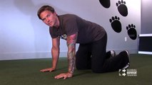 Front Kick-Throughs (from Animal Flow Workout)