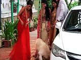 Suhani and Rohan's growing closeness - Suhani Si Ek Ladki - 27th july episode -HD Videos