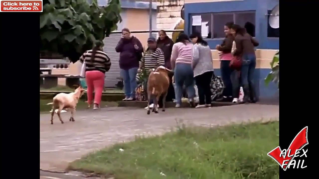 BEST EPIC FAILS  WIN Compilation ◄ BEST FUNNY VIDEOS ► FUNNY FAIL July 2015 #12 (HD)