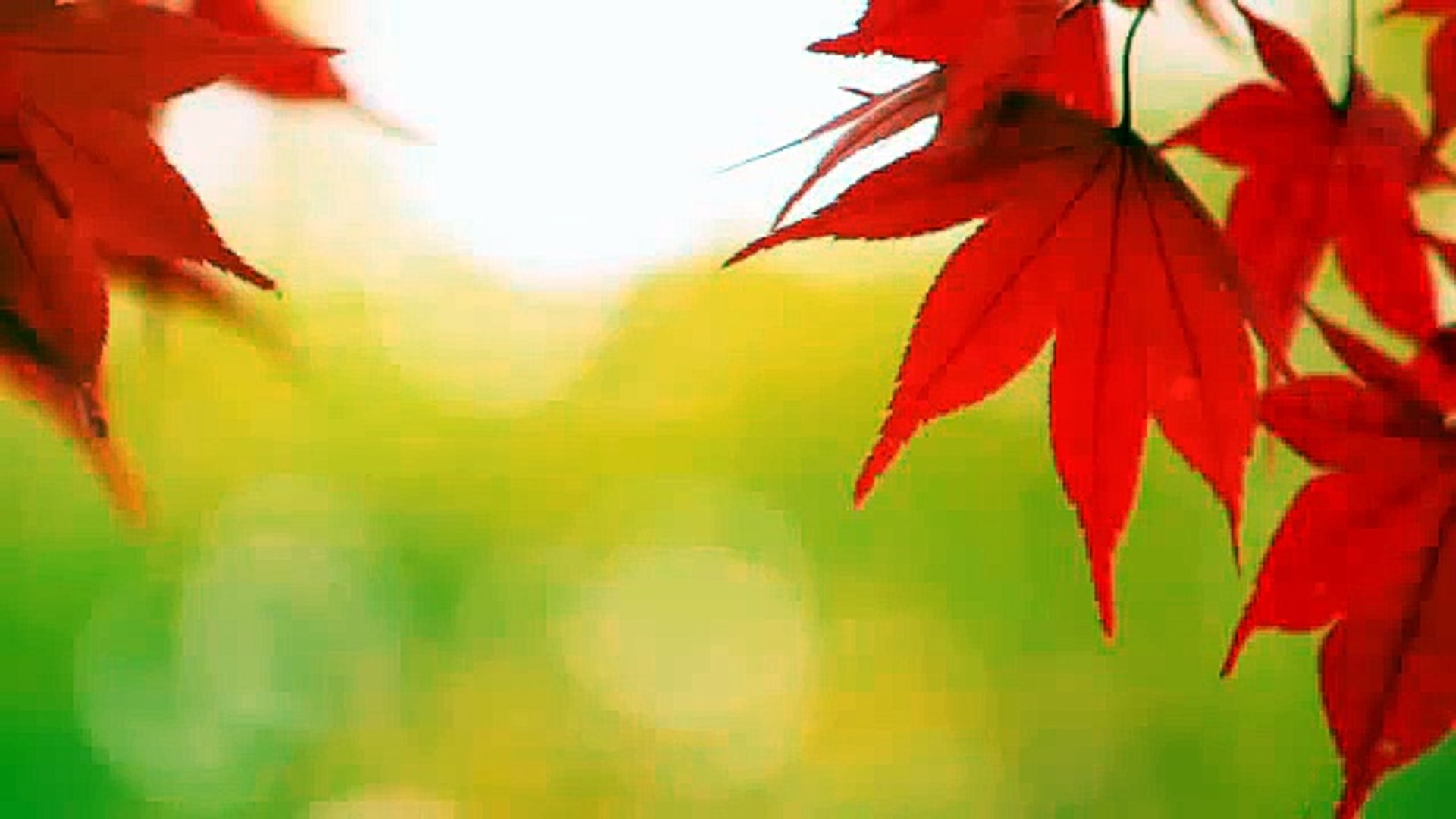 Relaxation Music Piano Music Wonderful Healing Music