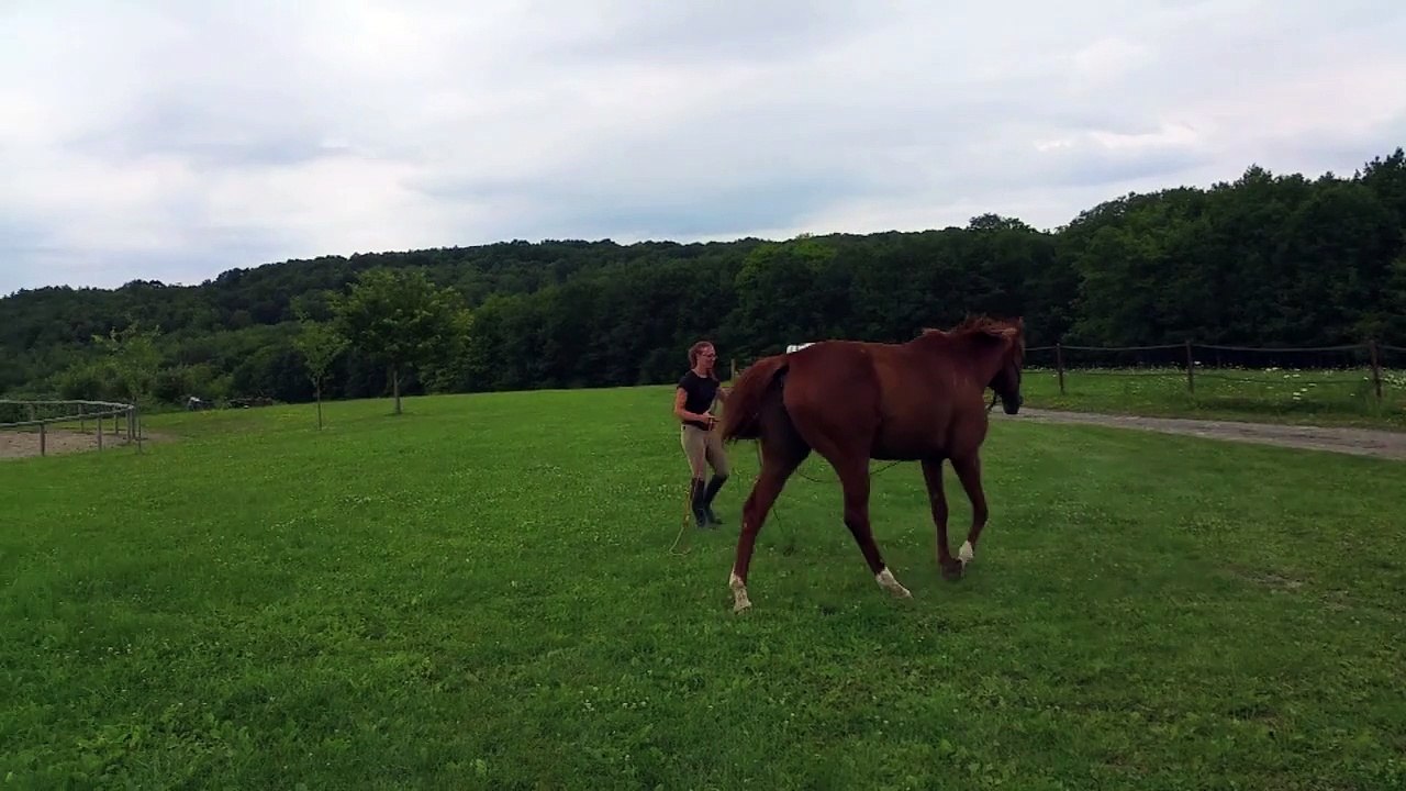 Annie Trot