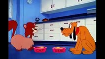 كرتون الكلب بلوتو -  كارتون ميكى ماوس  - Best Disney Cartoons -  Mickey Mouse  - Pluto