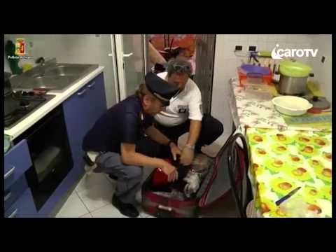 Icaro TV. Presentati i dati e un'iniziativa contro l'abusivismo commerciale