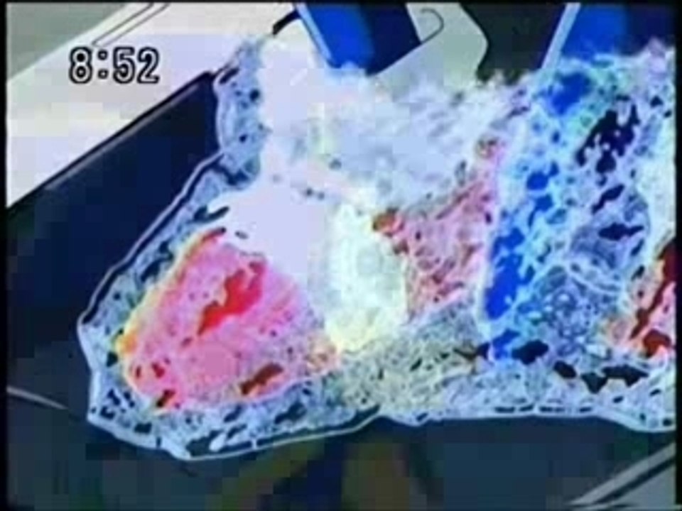 Sonic The Hedgehog - Invincible