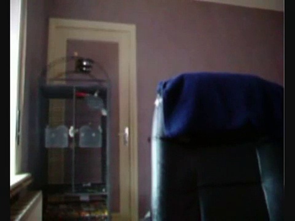 perroquet qui parle tres bien !! et qui dit aussi des gros mot !!