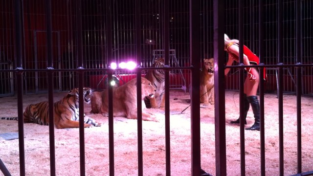 Le Grand cirque de Saint-Pétersbourg à Quimper !