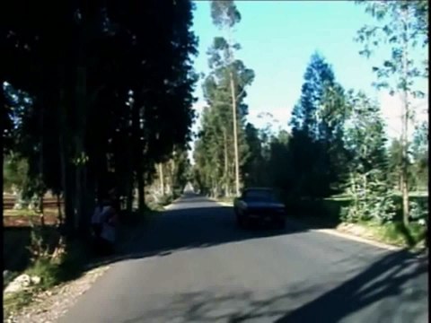 Un Pasajero en el Camino - Picaflor de los Andes - Huayno