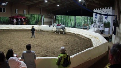 After Origines partII