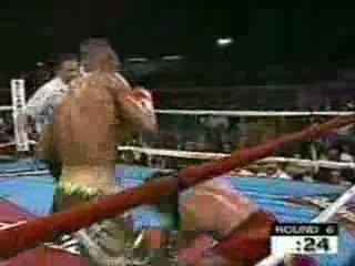 Roy jones jr highlights *tribute*