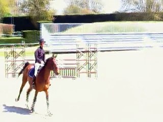 jument 5 ans Sancourt