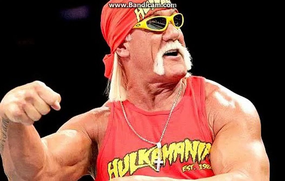 Hulk Hogan Racist Rant Audio (Full Video) Removed