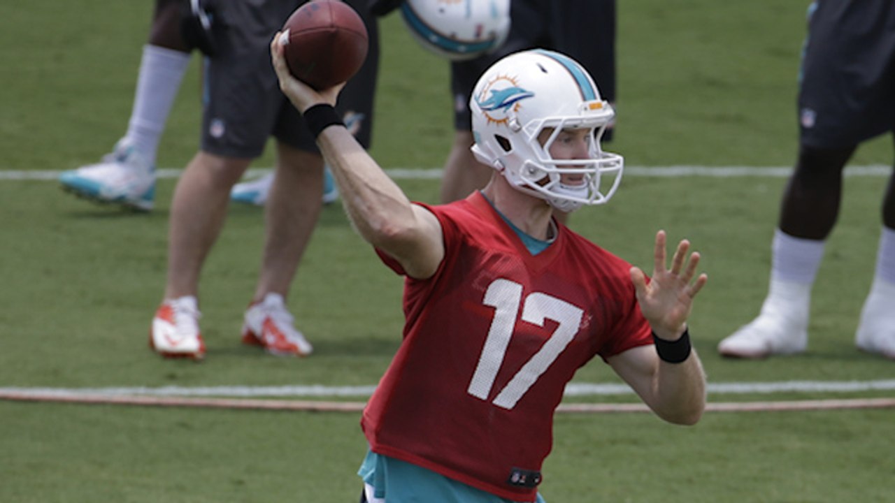 Abramson: Dolphins That Must Make a Jump