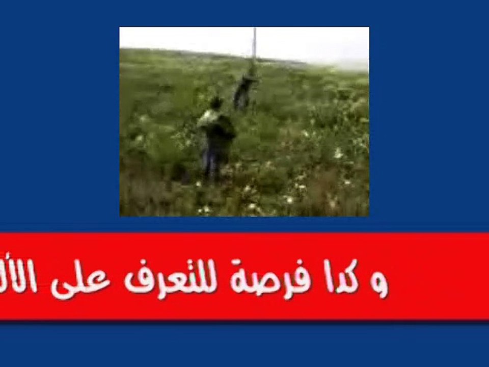 أنس
