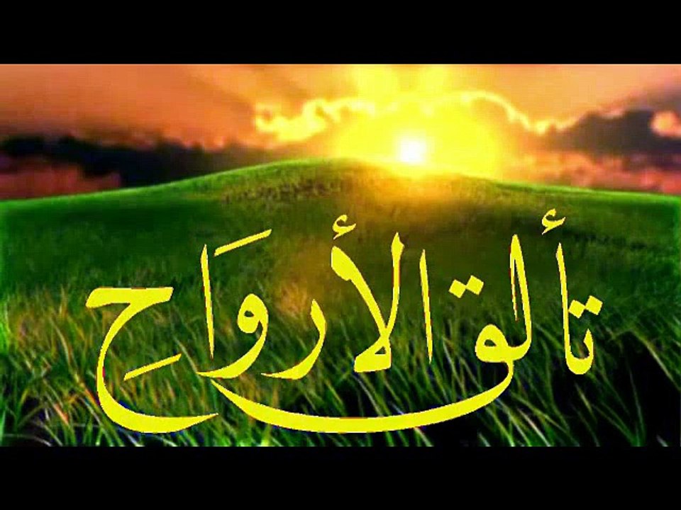 أنس