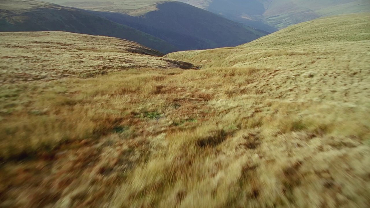 La France en face - Extrait