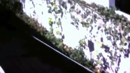 Raytheon Compound in Jeddah, Saudi Arabia, 1970