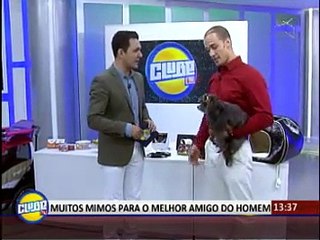Novidades do mundo Pet