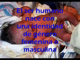 ¿Qué es la Identidad de Género?