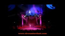 Circus Stardust Entertainment Agency Presents: Perch Act (Artist 01441)