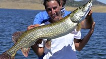 peche sportives aux leurres